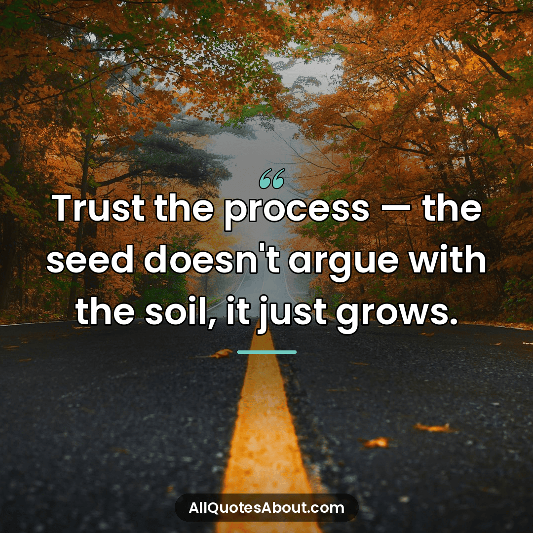 process quotes