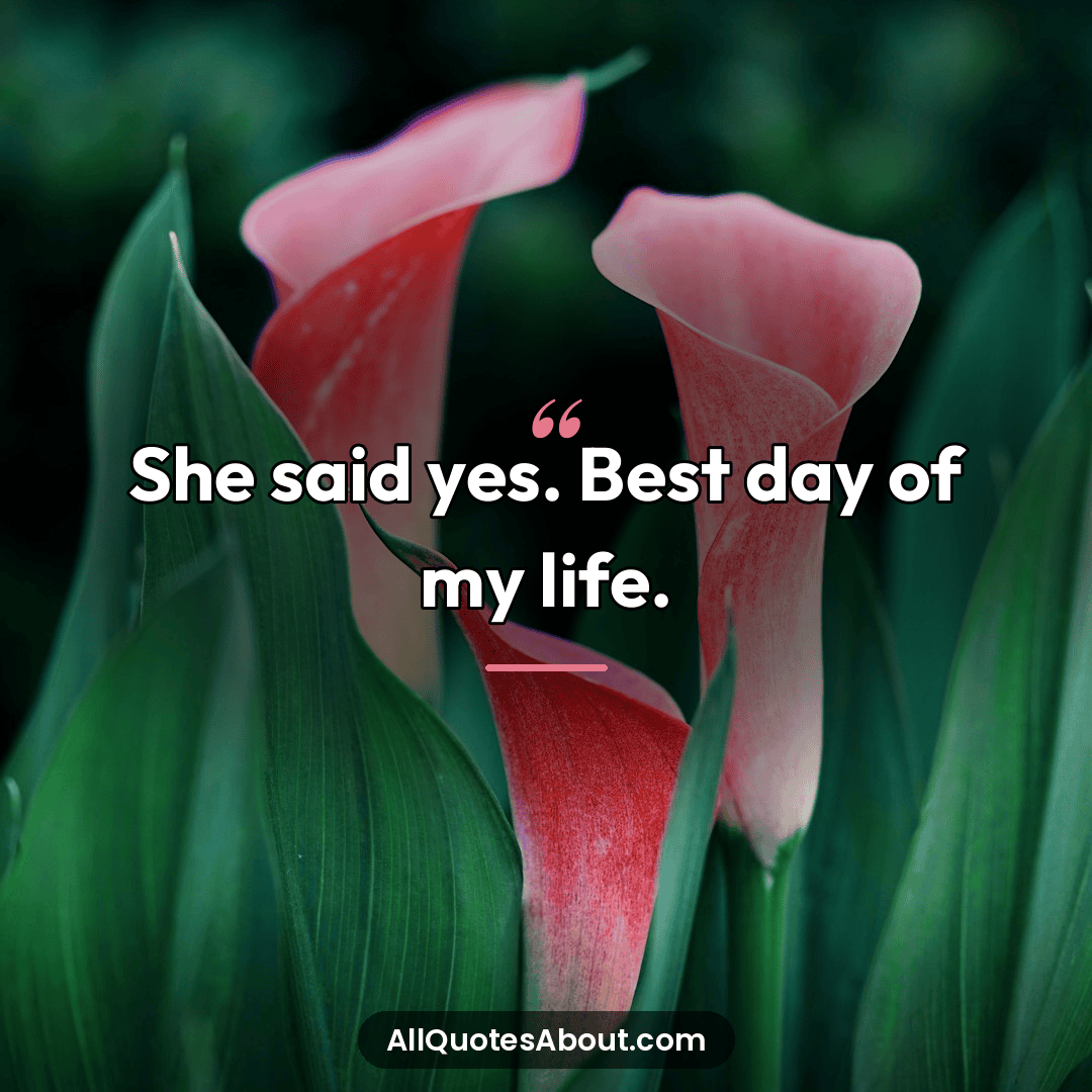 propose day messages