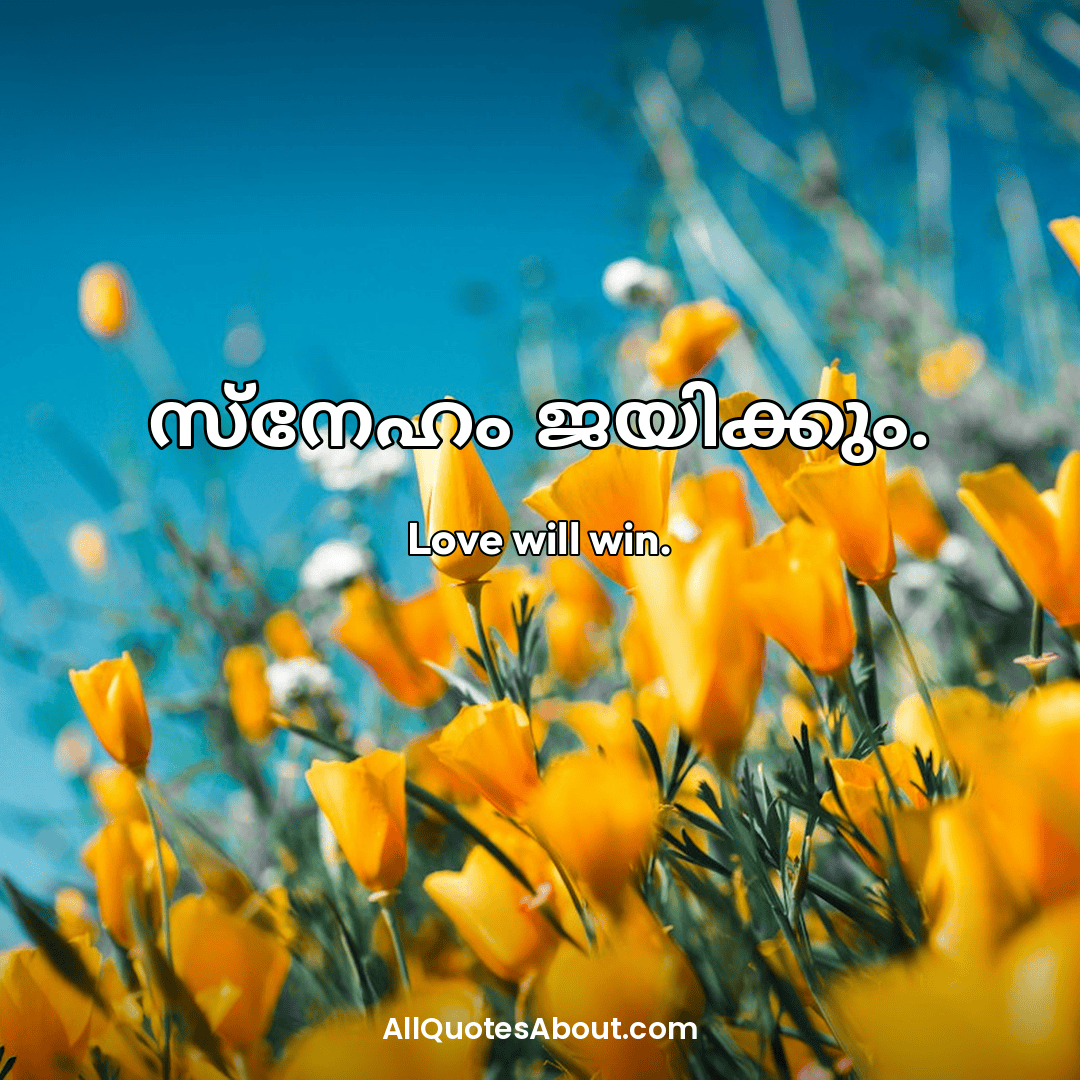 malayalam quotes