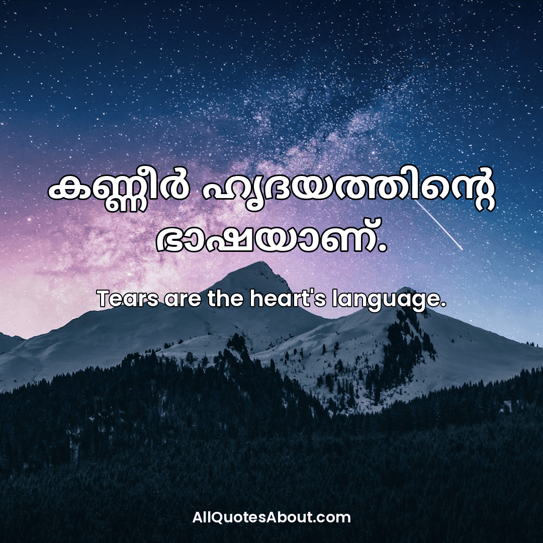 sad quotes in malayalam