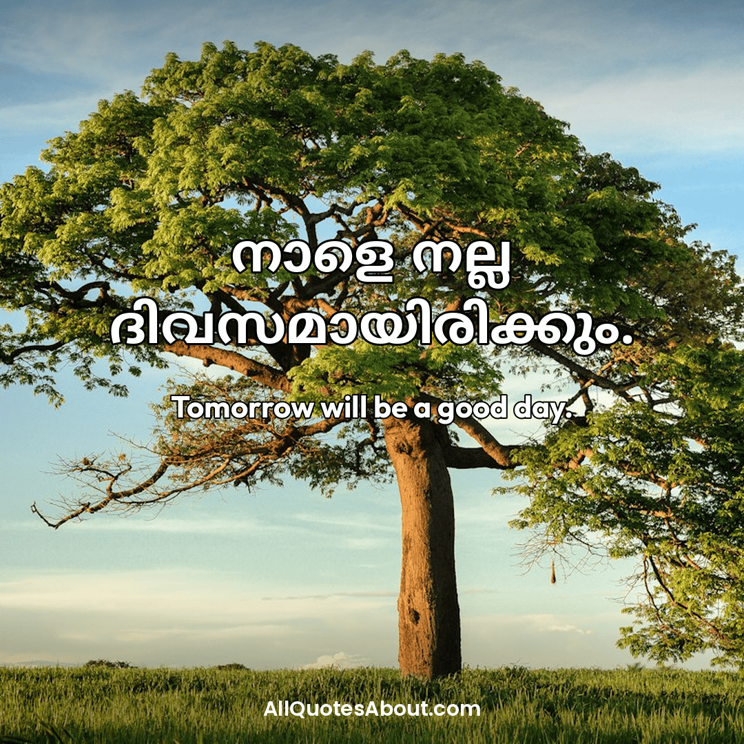 sad malayalam quotes