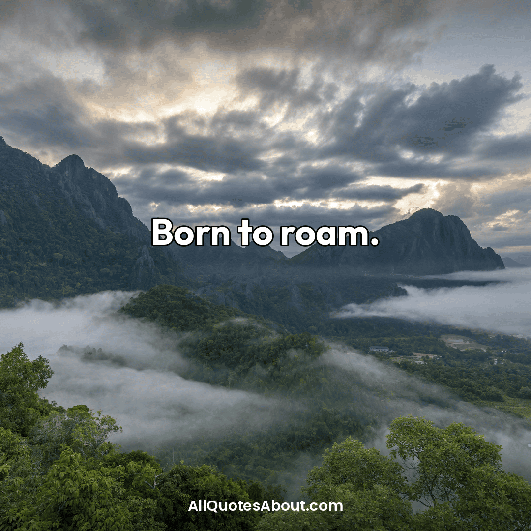 travel quotes