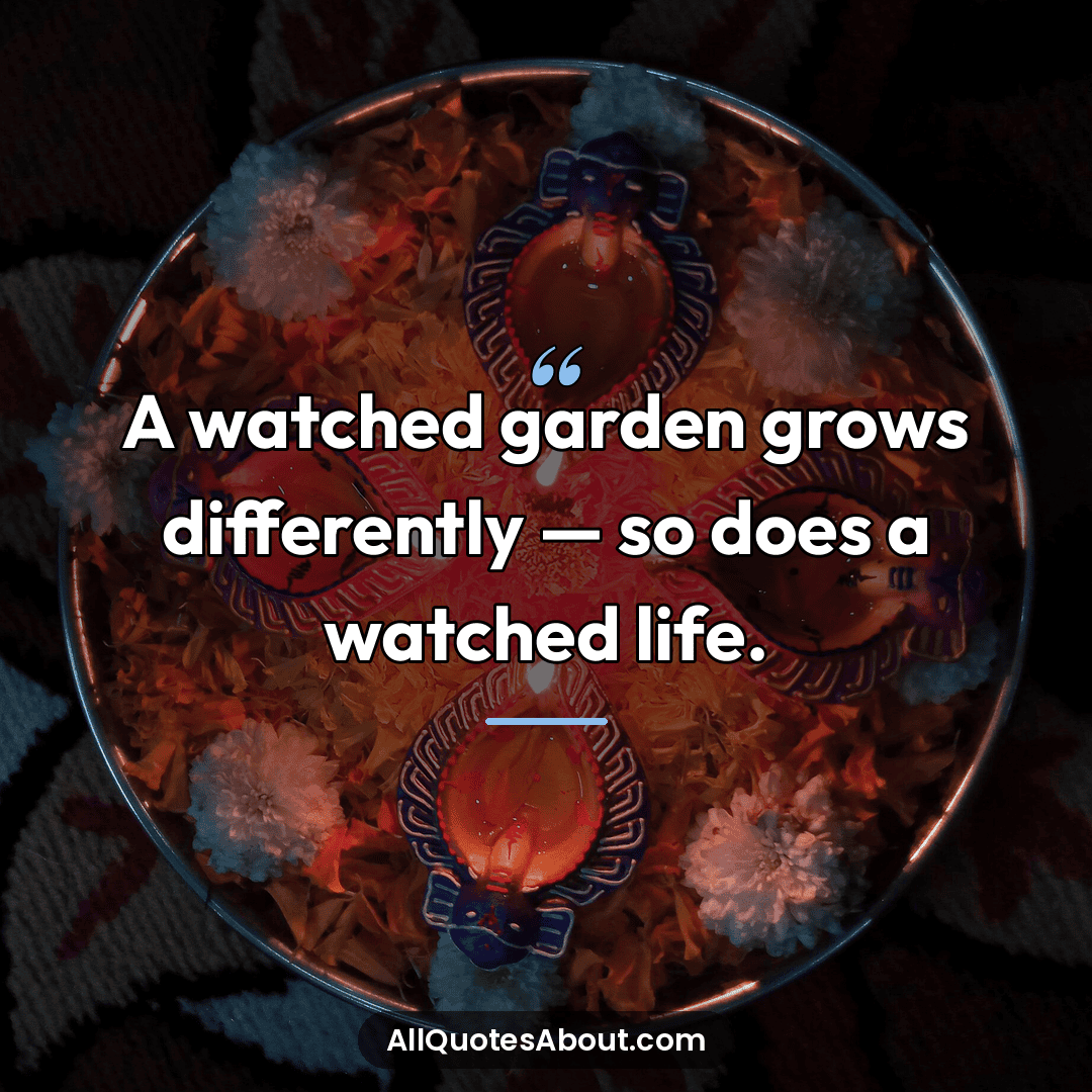 watching sayings