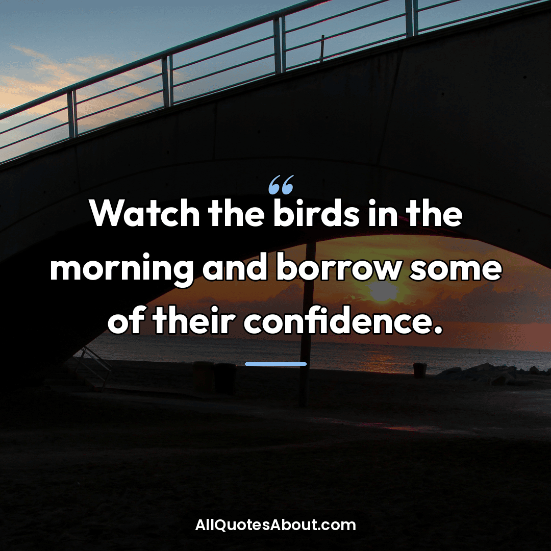 quotes on watching