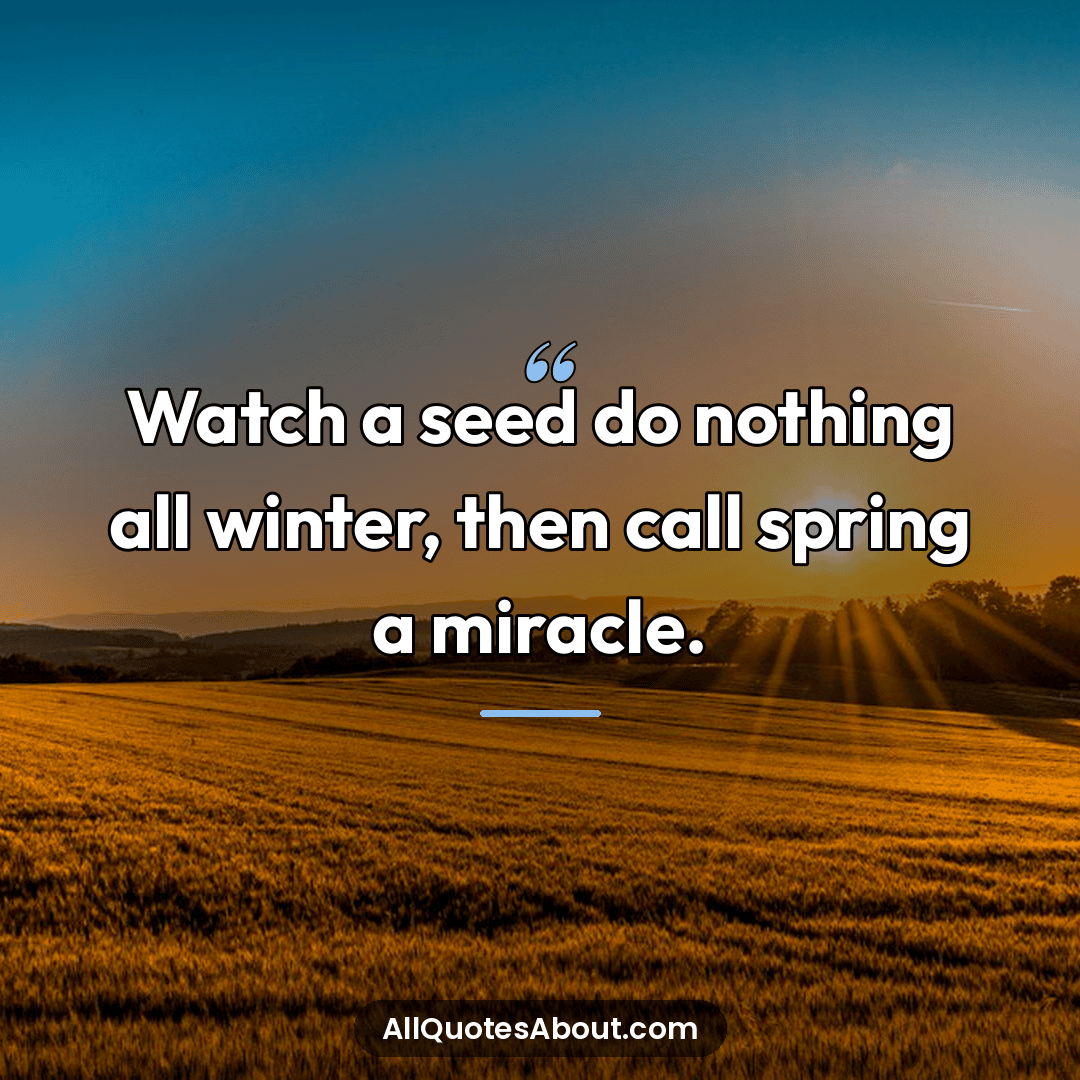 watching quotes