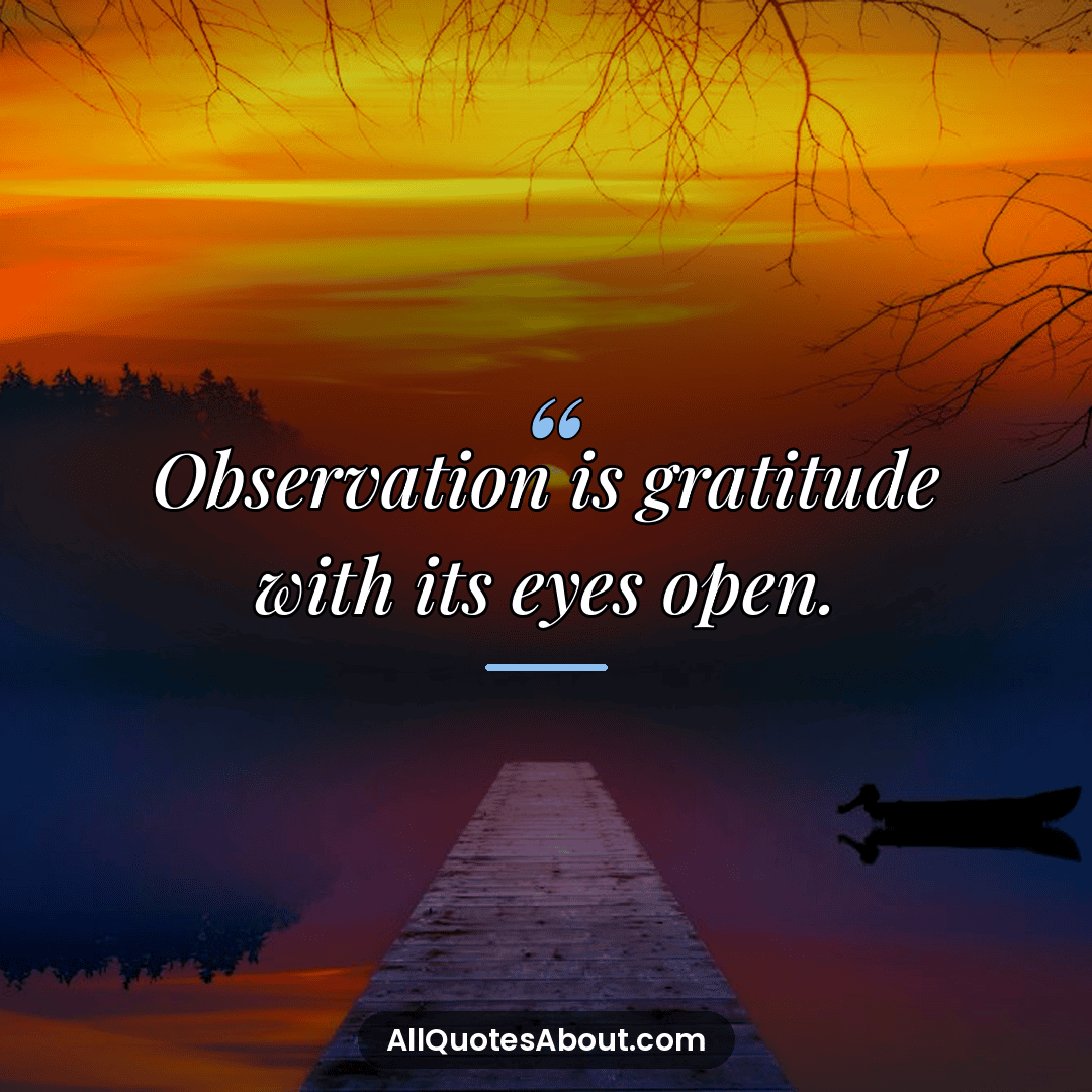 quotes on watching