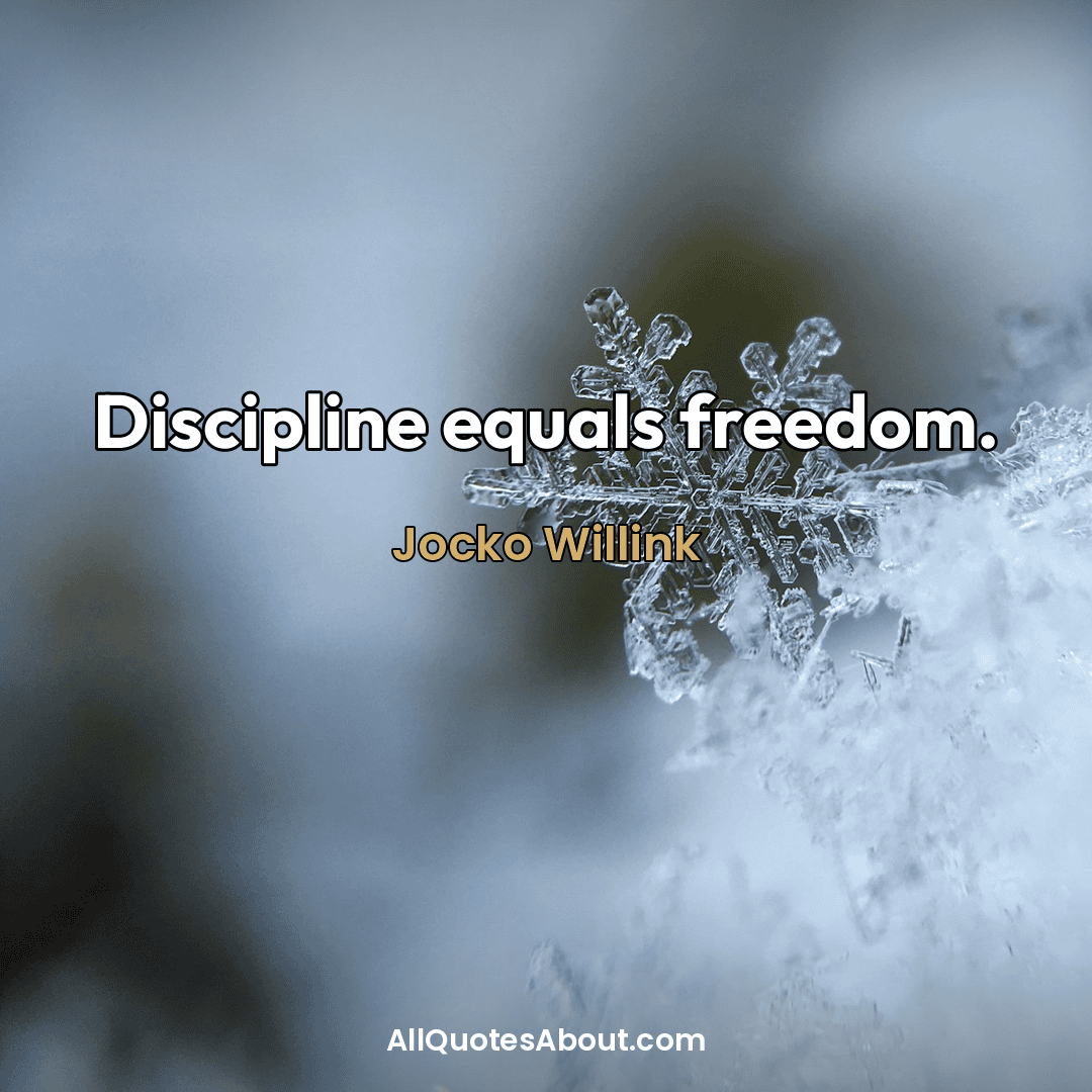 winter arc mindset quotes